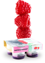 savoie-yaourt-bio-framboise